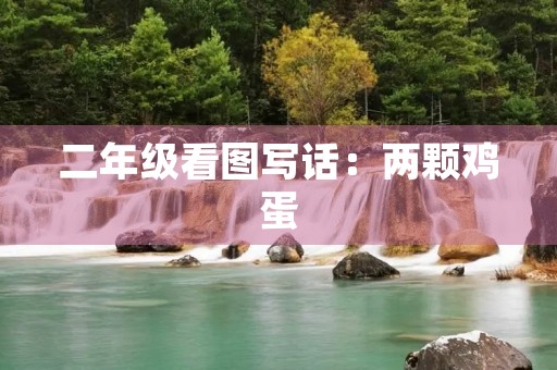 二年级看图写话:两颗鸡蛋 二年级看图写话:两颗鸡蛋