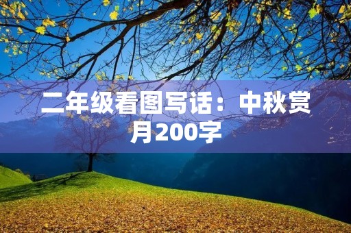二年级看图写话：中秋赏月200字