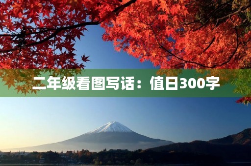 二年级看图写话：值日300字