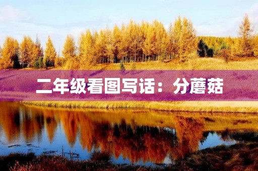 二年级看图写话：分蘑菇