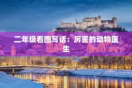 二年级看图写话：厉害的动物医生