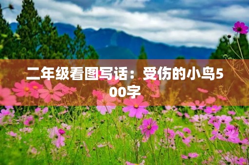 二年级看图写话：受伤的小鸟500字