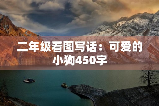 二年级看图写话：可爱的小狗450字