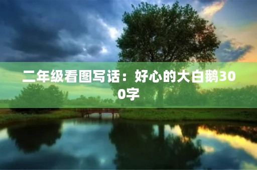 二年级看图写话：好心的大白鹅300字
