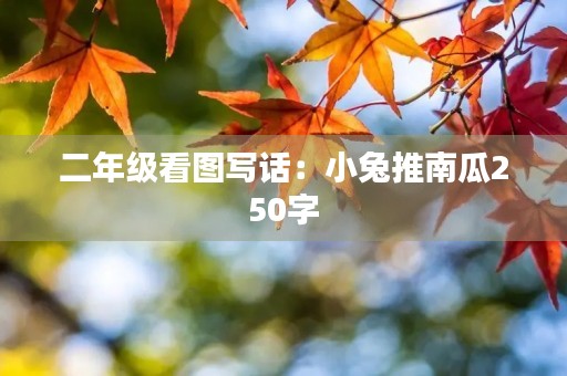 二年级看图写话：小兔推南瓜250字