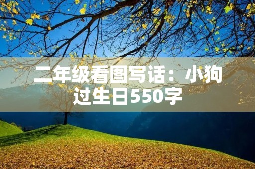 二年级看图写话：小狗过生日550字