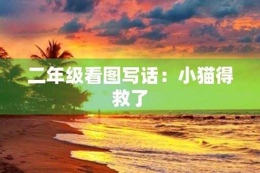 二年级看图写话：小猫得救了