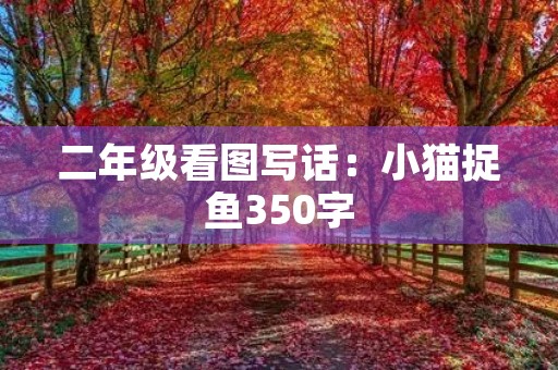二年级看图写话：小猫捉鱼350字