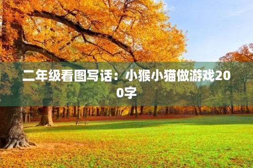 二年级看图写话：小猴小猫做游戏200字
