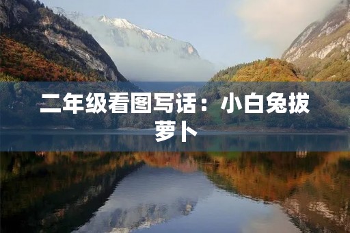 二年级看图写话：小白兔拔萝卜