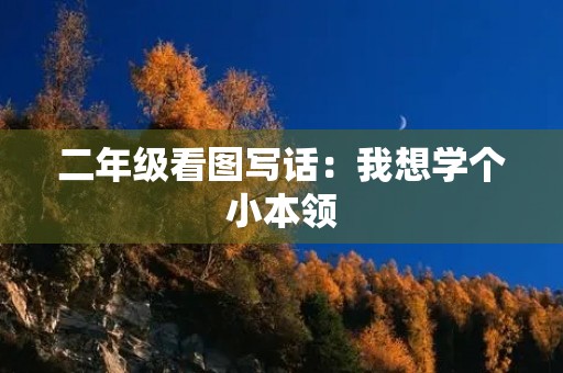 二年级看图写话：我想学个小本领
