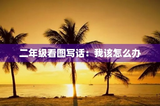 二年级看图写话：我该怎么办