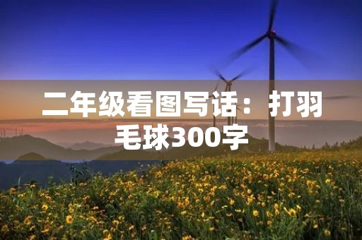 二年级看图写话：打羽毛球300字