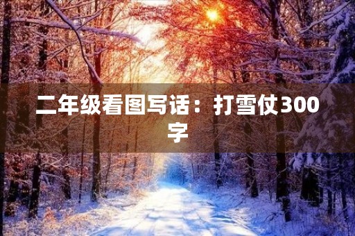二年级看图写话：打雪仗300字