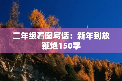 二年级看图写话：新年到放鞭炮150字