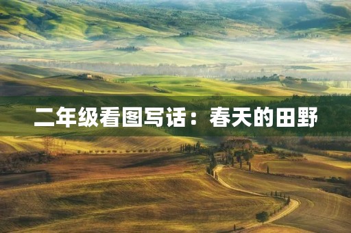 二年级看图写话：春天的田野