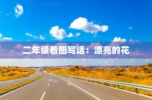 二年级看图写话:漂亮的花 二年级看图写话:漂亮的花