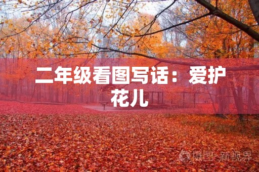 二年级看图写话：爱护花儿