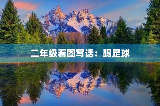 二年级看图写话:踢足球 二年级看图写话:踢足球