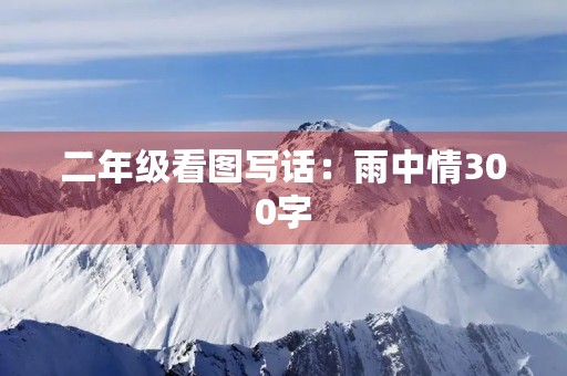 二年级看图写话：雨中情300字