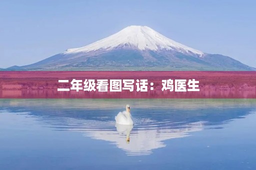二年级看图写话:鸡医生 二年级看图写话:鸡医生