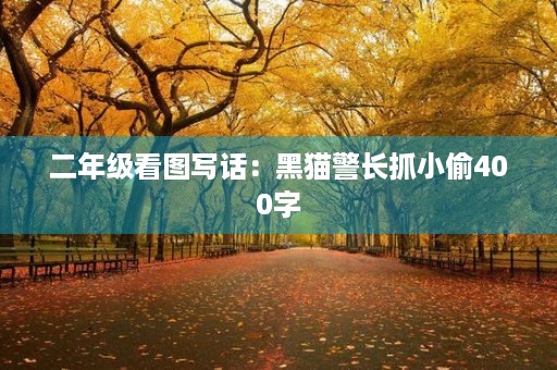 二年级看图写话：黑猫警长抓小偷400字