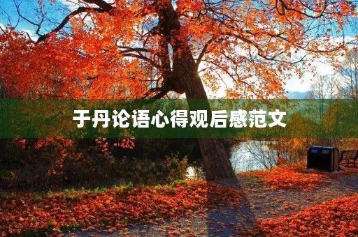 于丹论语心得观后感范文