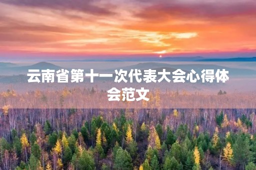 云南省第十一次代表大会心得体会范文