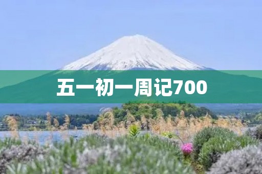 五一初一周记700