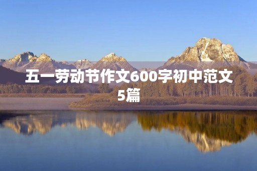 五一劳动节作文600字初中范文5篇