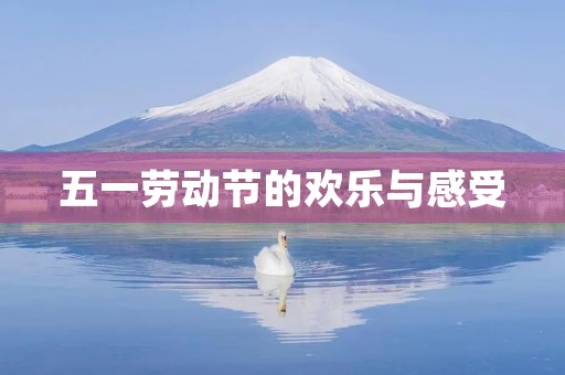五一劳动节的欢乐与感受