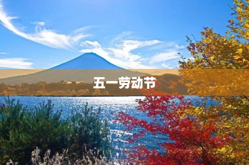 五一劳动节,我也来“劳动” 五一劳动节,我也来“劳动”