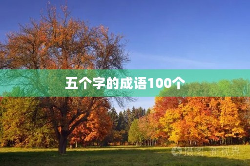 五个字的成语100个