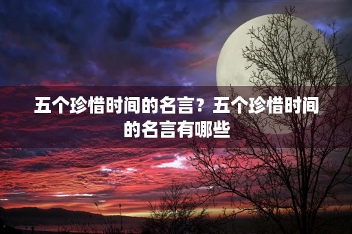 五个珍惜时间的名言?五个珍惜时间的名言有哪些 五个珍惜时间的名言?五个珍惜时间的名言有哪些