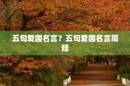 五句爱国名言？五句爱国名言简短