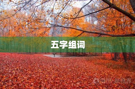 五字组词(五组词)