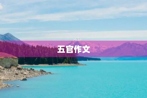五官作文 五官作文