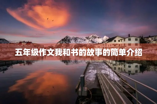 五年级作文我和书的故事的简单介绍