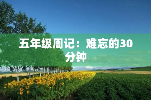 五年级周记:难忘的30分钟 五年级周记:难忘的30分钟