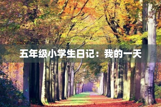 五年级小学生日记：我的一天