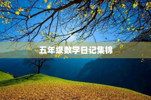 五年级数学日记集锦 五年级数学日记集锦