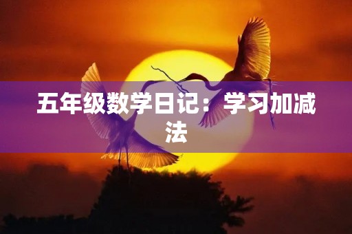 五年级数学日记:学习加减法 五年级数学日记:学习加减法