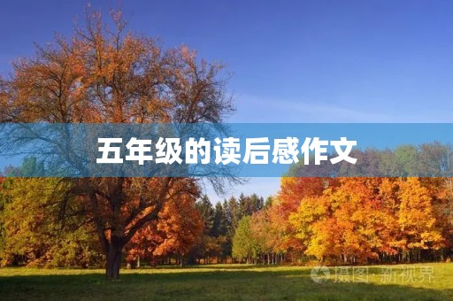 五年级的读后感作文 五年级的读后感作文