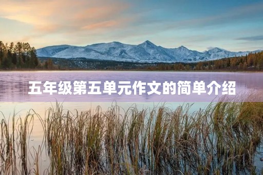 五年级第五单元作文的简单介绍