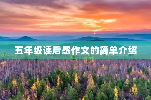 五年级读后感作文的简单介绍
