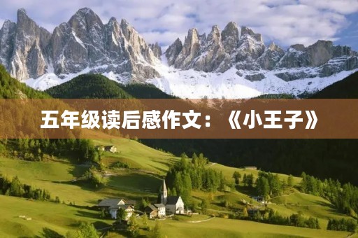 五年级读后感作文：《小王子》