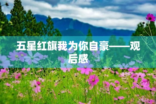 五星红旗我为你自豪——观后感