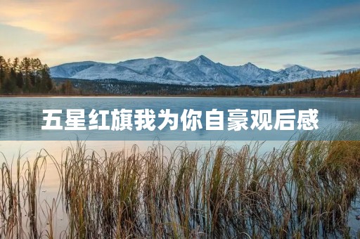 五星红旗我为你自豪观后感