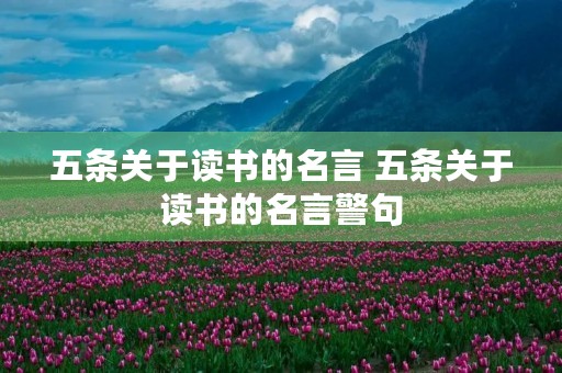 五条关于读书的名言 五条关于读书的名言警句 五条关于读书的名言 五条关于读书的名言警句