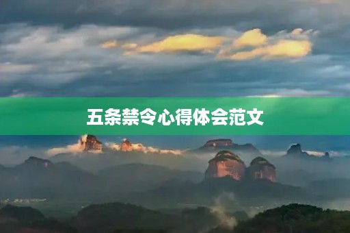 五条禁令心得体会范文